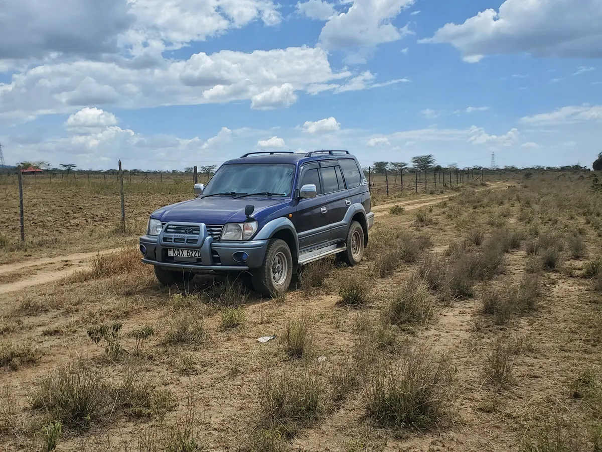 Front three-quarter view on a dirt track through open grassland