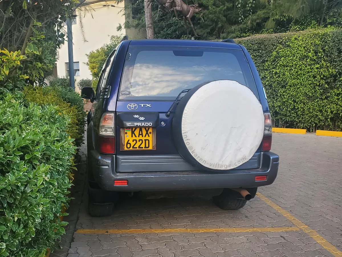Rear view in a car park